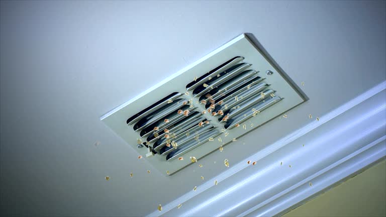 Best Affordable Air Duct Cleaning  in Mount Gay Shamrock, WV
