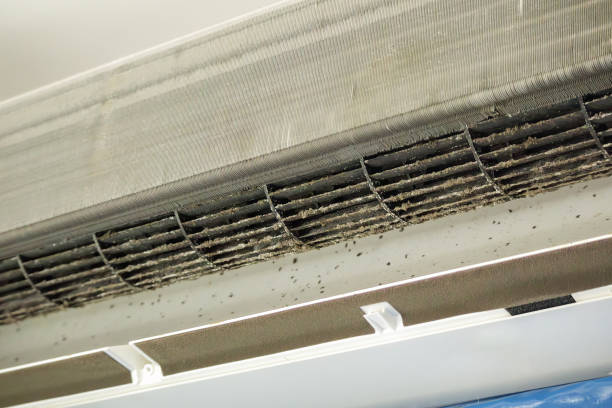 Best Best Air Duct Cleaning Company  in Mount Gay Shamrock, WV